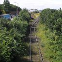 The overgrown railway line to Leith docks