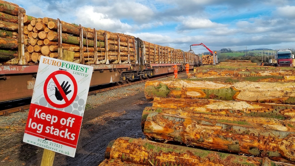 Keep off the log stacks, but keep logs on the train tracks. A resurgence in rail freight timber could be on the cards in the UK with plenty of raw materials coming to maturity (Image Alan Peters at Colas Rail).