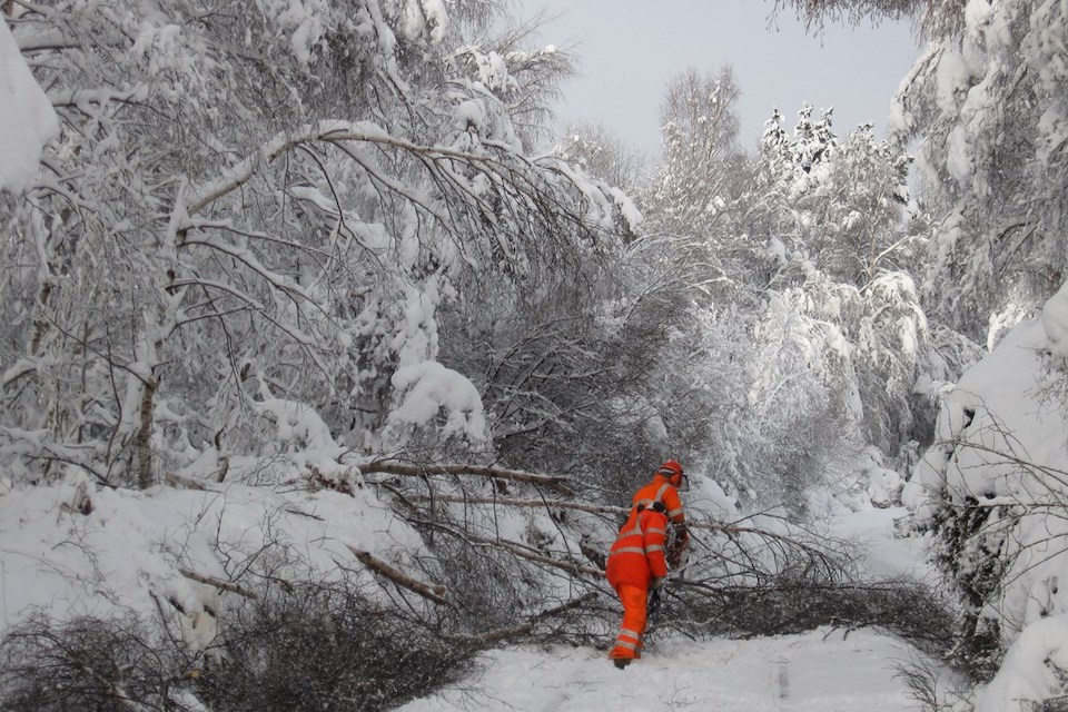 Very snowy scene with an engineer in contrasting orange suit working to remove a fallen tree from the blocked line